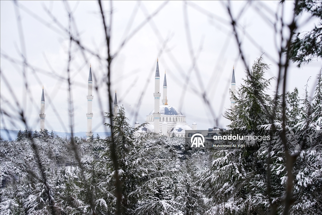 Snowfall in Turkiye's Istanbul