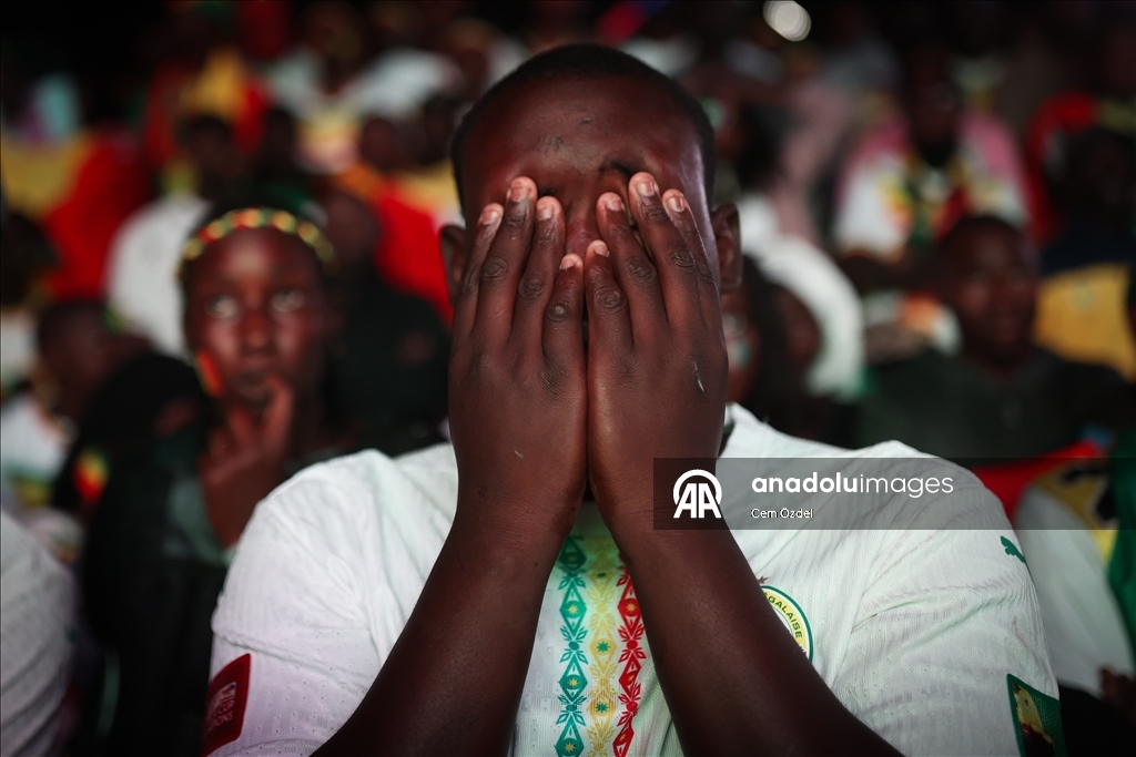 Сенегальцы празднуют победу сборной в Кубке Африки по футболу