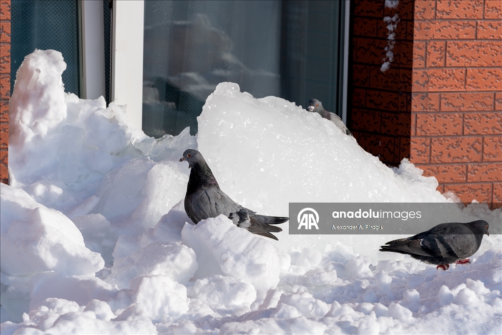 Kamchatka Peninsula experiences the heaviest snowfall in the last 30 years