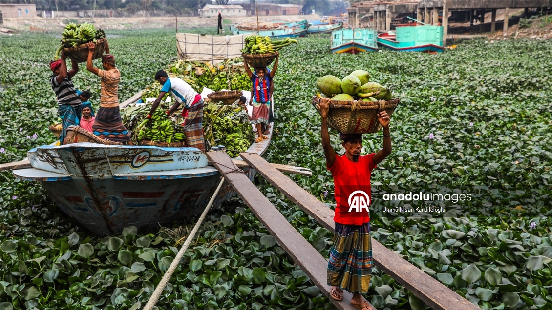 Bangladeş’te nehirler tomruk ve tarım ürünlerinin taşınmasında önemli rol oynuyor