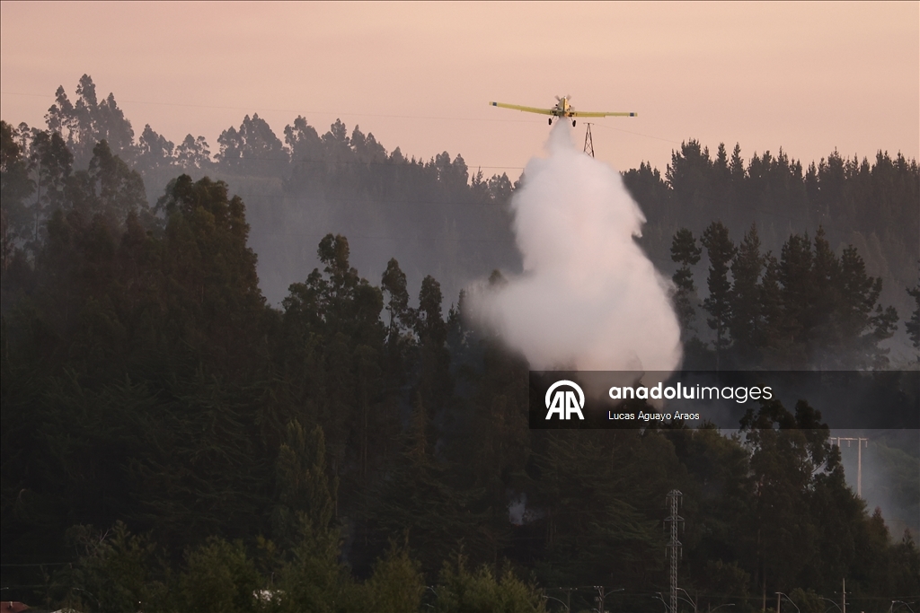 Жертвами лесных пожаров в Чили стали не менее 19 человек
