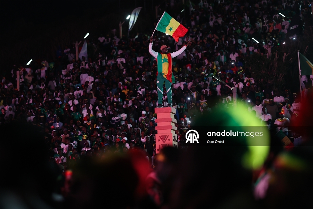 Сенегальцы празднуют победу сборной в Кубке Африки по футболу