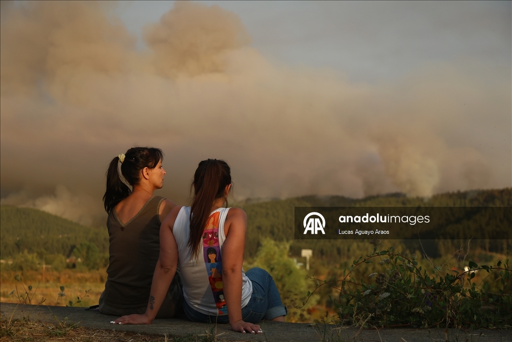 Жертвами лесных пожаров в Чили стали не менее 19 человек