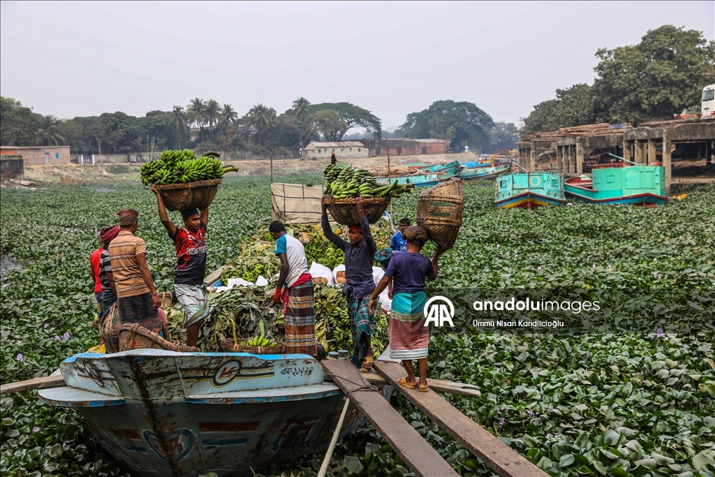 Bangladeş’te nehirler tomruk ve tarım ürünlerinin taşınmasında önemli rol oynuyor