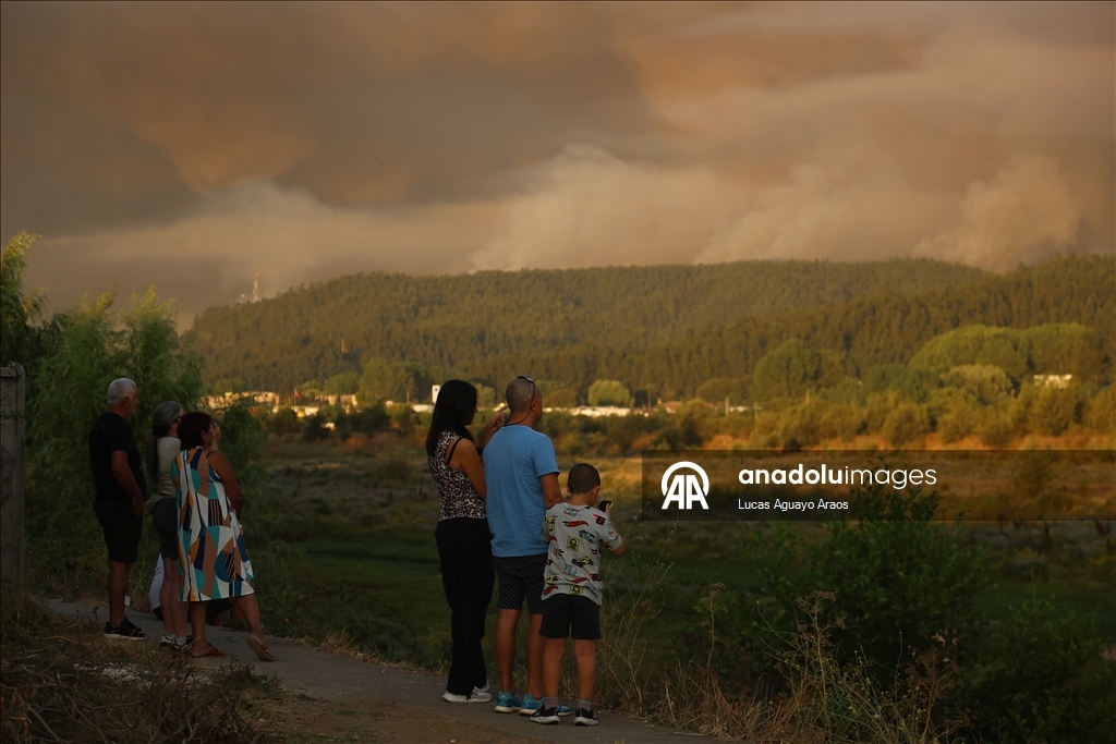 Жертвами лесных пожаров в Чили стали не менее 19 человек