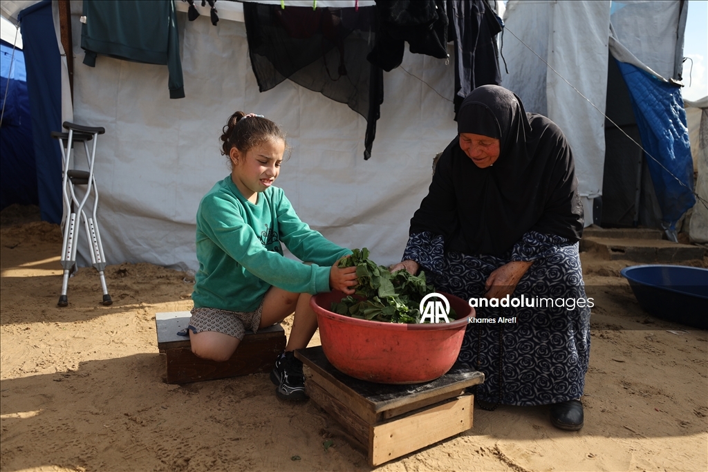 Палестинская девочка, потерявшая ногу и семью в результате израильского удара, пытается выжить