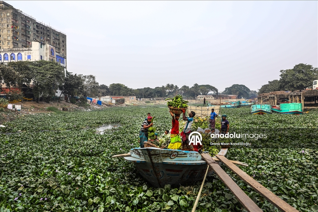 Bangladeş’te nehirler tomruk ve tarım ürünlerinin taşınmasında önemli rol oynuyor