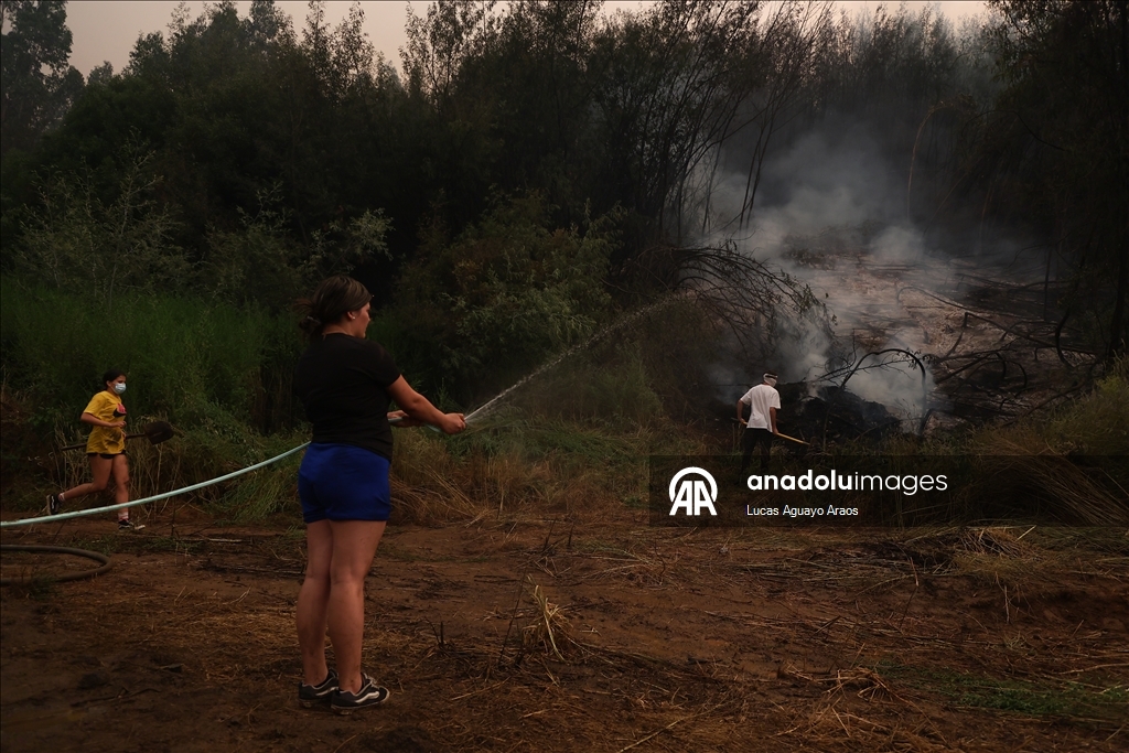 Жертвами лесных пожаров в Чили стали не менее 19 человек