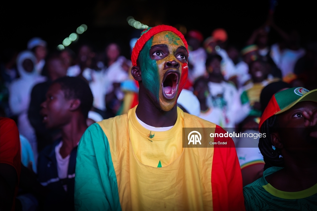 Сенегальцы празднуют победу сборной в Кубке Африки по футболу