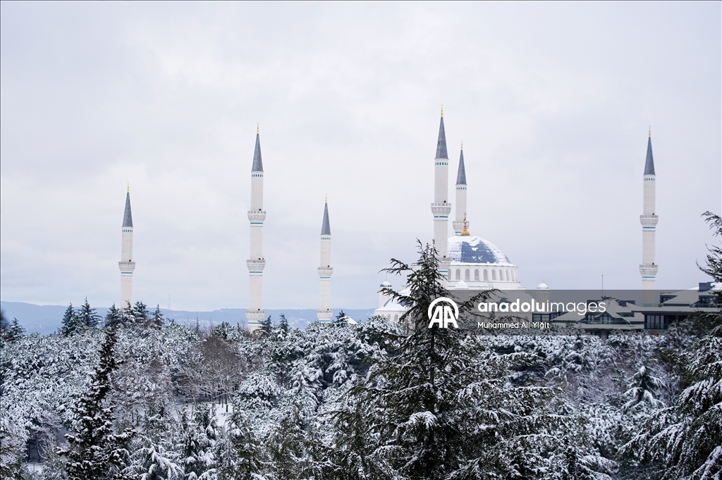 Snowfall in Turkiye's Istanbul