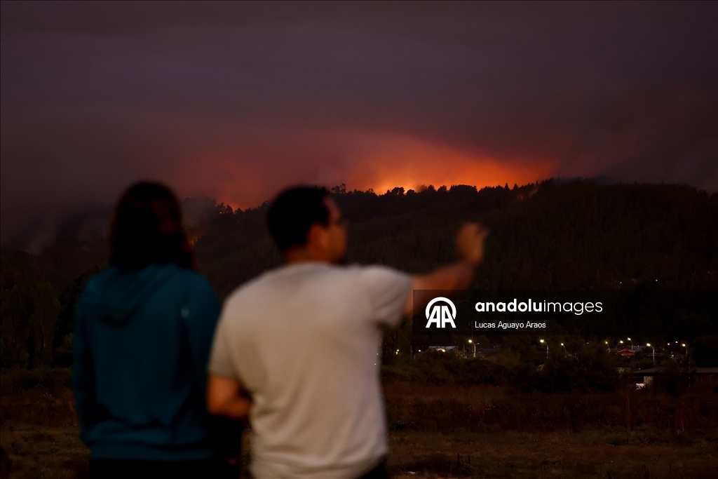 Жертвами лесных пожаров в Чили стали не менее 19 человек