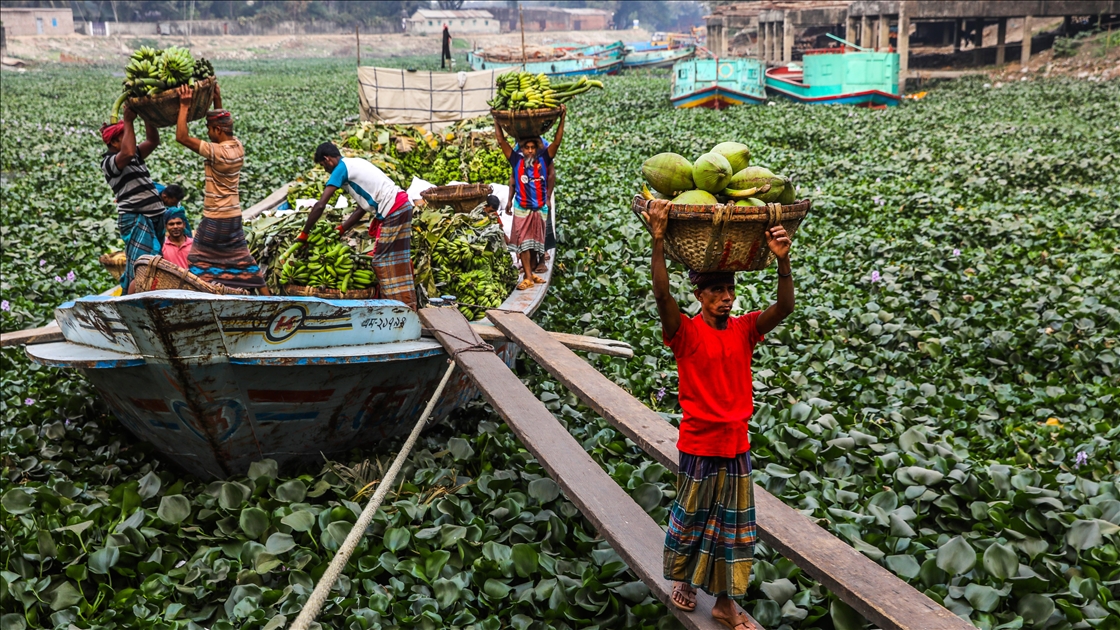 Bangladeş’te nehirler tomruk ve tarım ürünlerinin taşınmasında önemli rol oynuyor