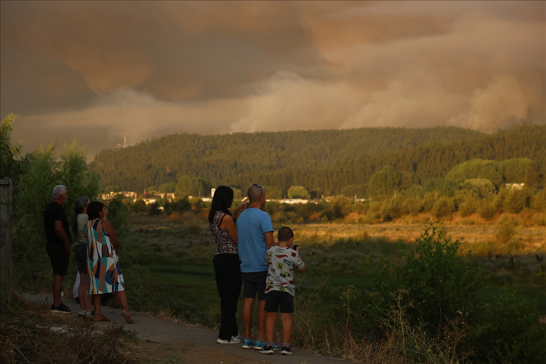 Жертвами лесных пожаров в Чили стали не менее 19 человек
