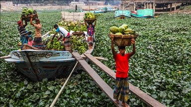 Bangladeş’te nehirler tomruk ve tarım ürünlerinin taşınmasında önemli rol oynuyor