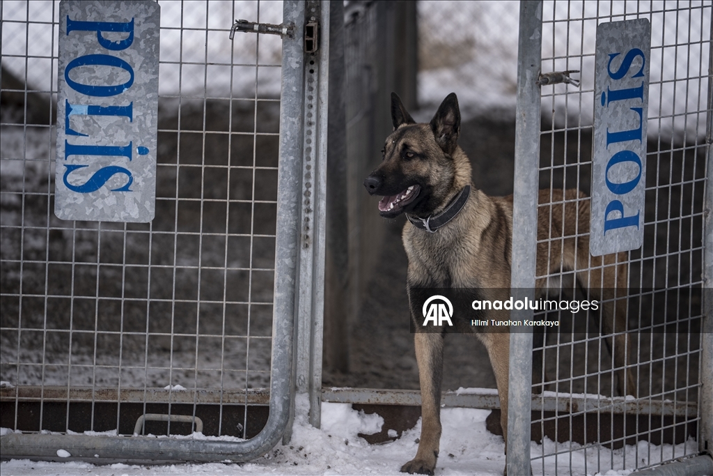 Erzurum'da eğitilen köpekler Doğu Anadolu'daki asayiş ve operasyonel görevlerde kullanılacak