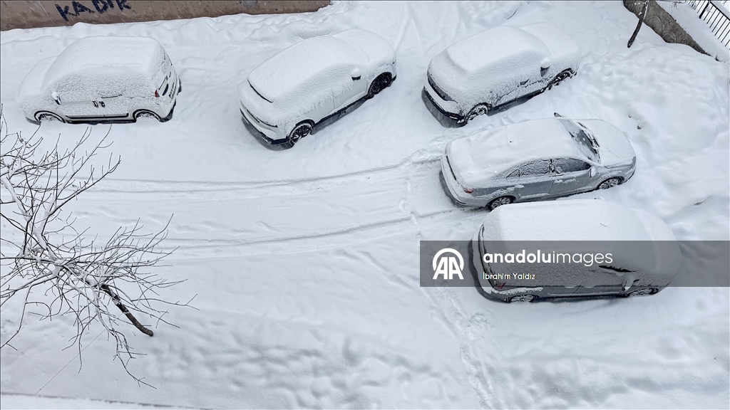 Muş'ta kar yağışı