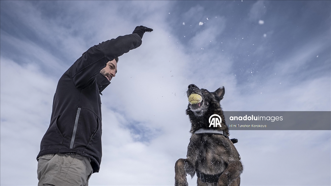 Erzurum'da eğitilen köpekler Doğu Anadolu'daki asayiş ve operasyonel görevlerde kullanılacak