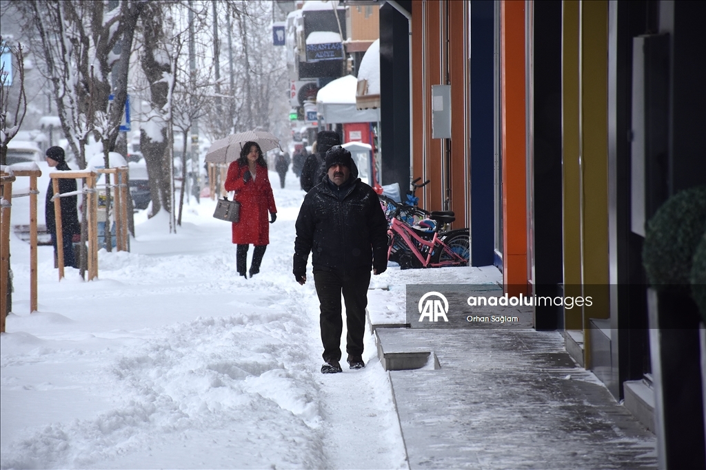 Van'da kar etkili oldu