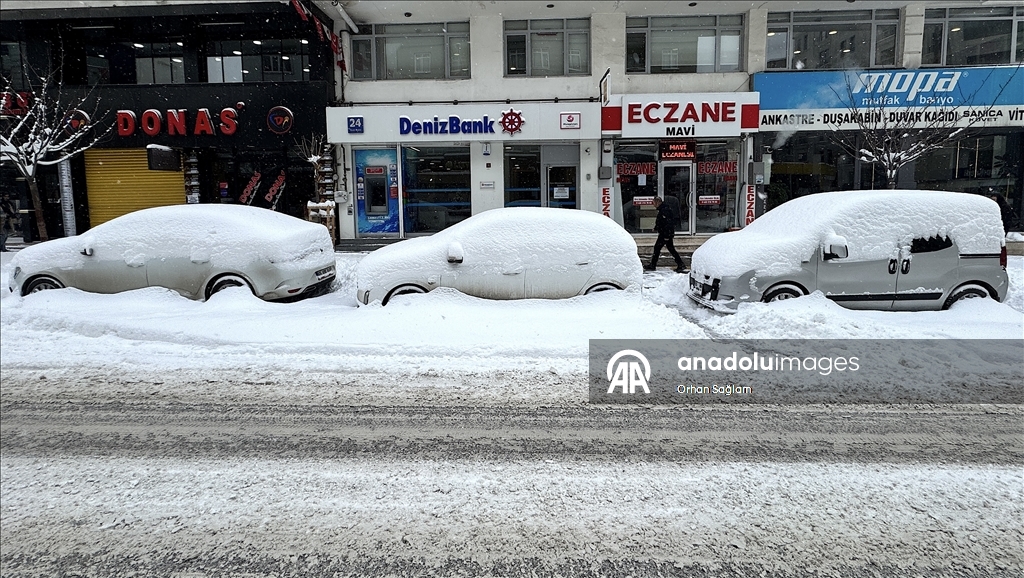 Van'da kar etkili oldu
