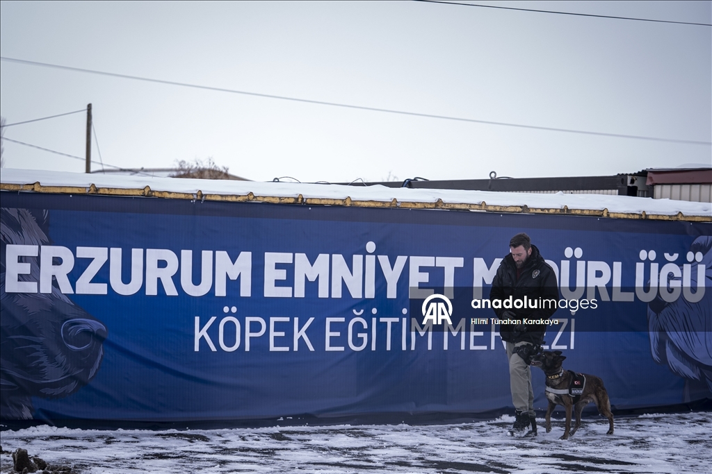Erzurum'da eğitilen köpekler Doğu Anadolu'daki asayiş ve operasyonel görevlerde kullanılacak