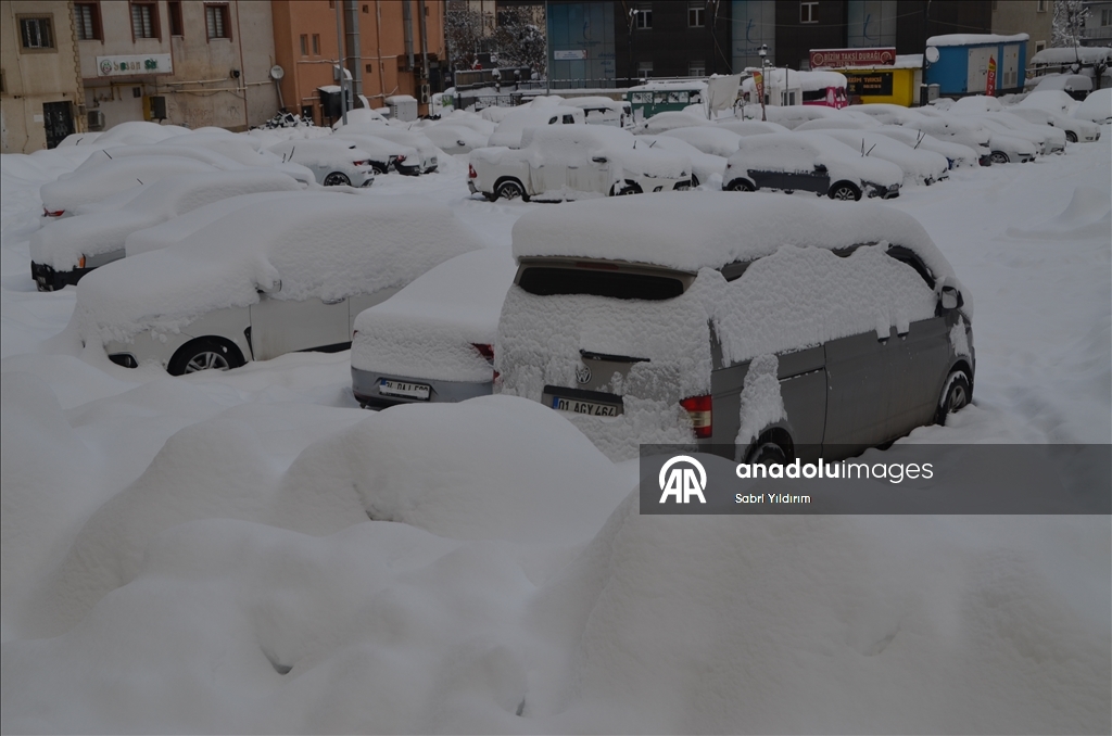 Muş'ta kar etkili oldu