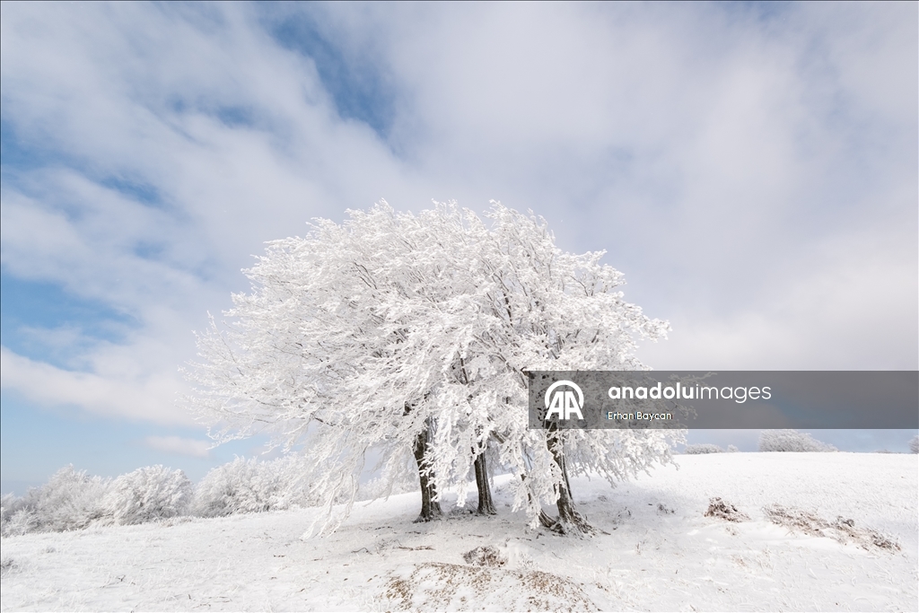 Daristanên Istrancayê bi berfê nixumîn