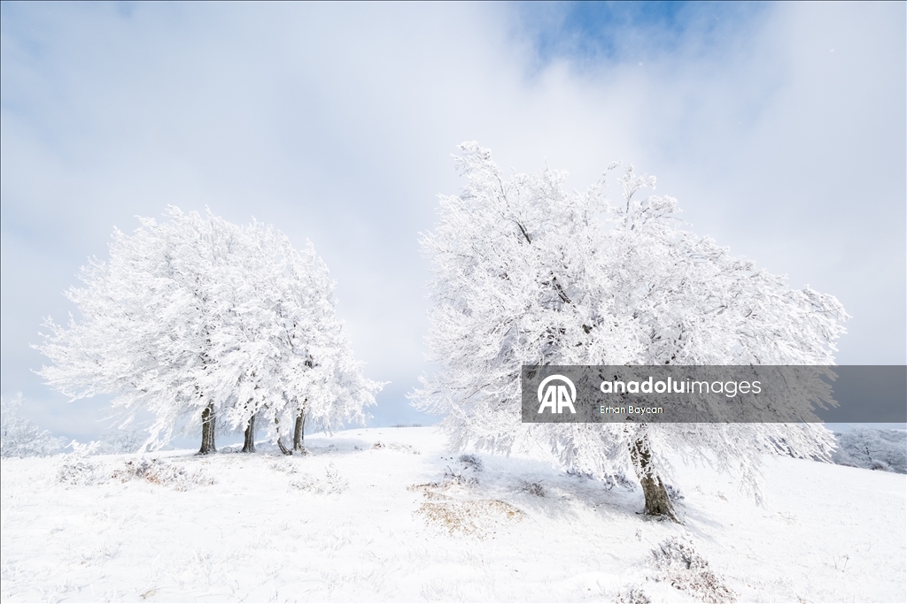 Daristanên Istrancayê bi berfê nixumîn