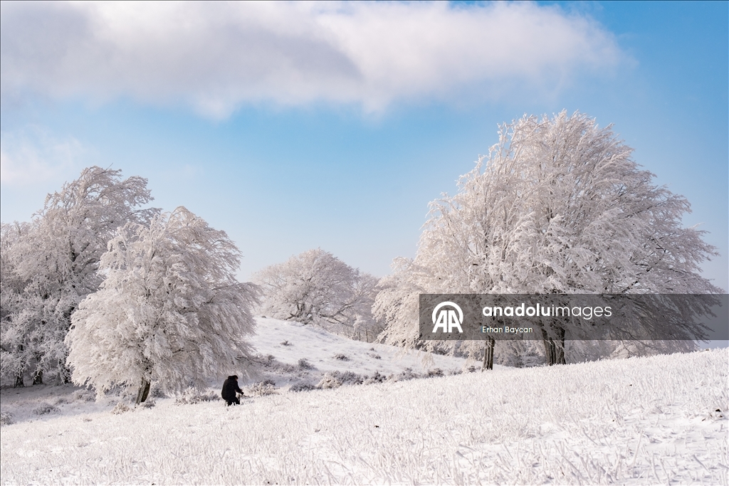 Daristanên Istrancayê bi berfê nixumîn