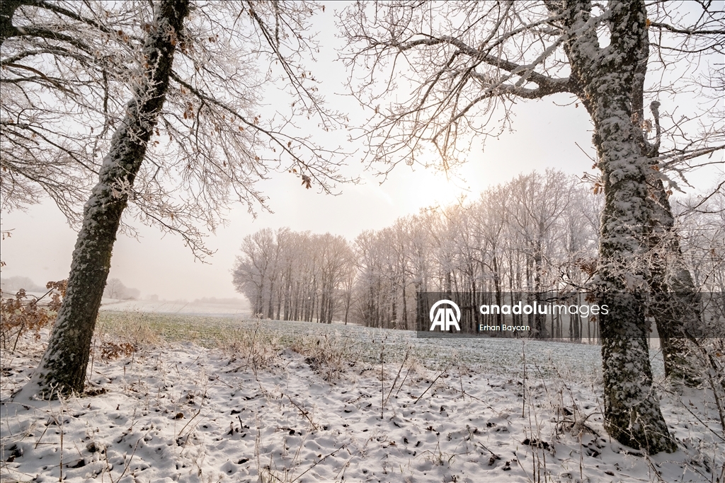 Daristanên Istrancayê bi berfê nixumîn
