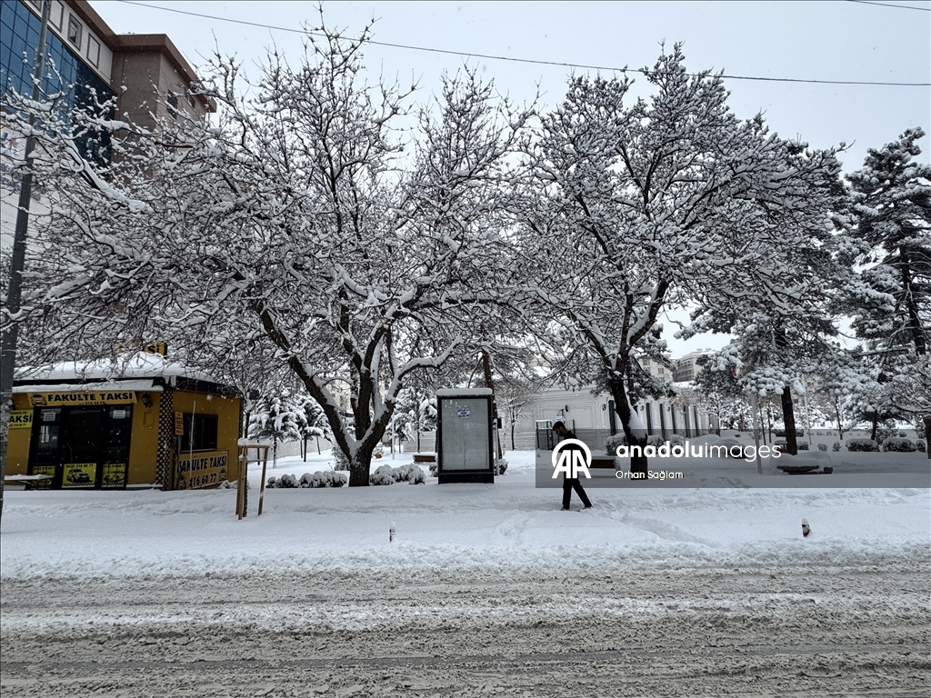 Van'da kar etkili oldu