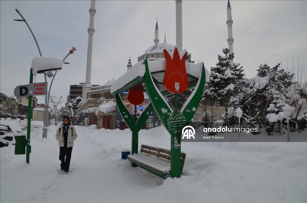 Muş'ta kar etkili oldu