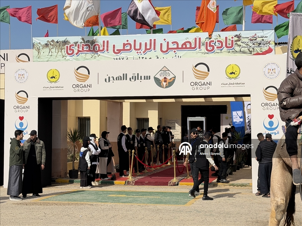 اختتام مهرجان سباقات الهجن في مدينة العريش المصرية