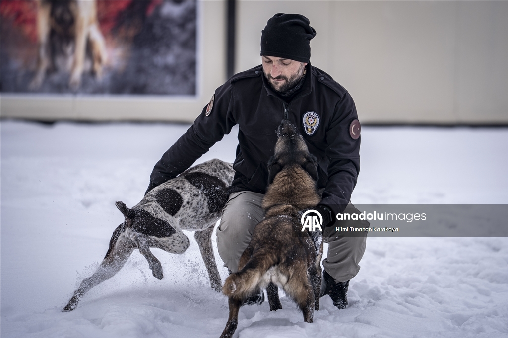 Erzurum'da eğitilen köpekler Doğu Anadolu'daki asayiş ve operasyonel görevlerde kullanılacak