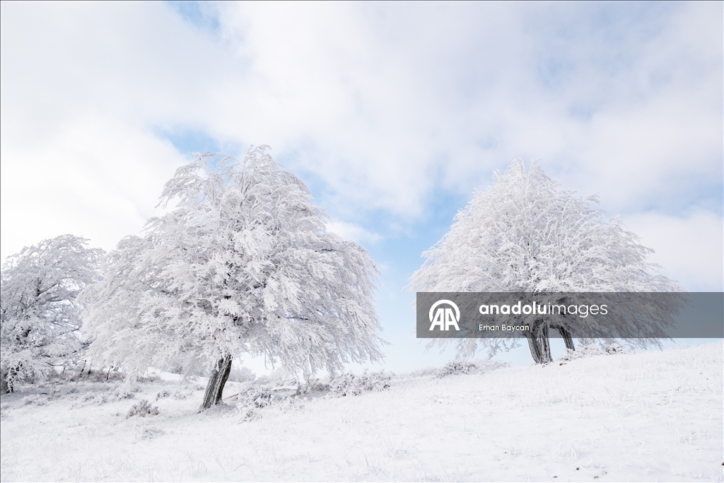 Daristanên Istrancayê bi berfê nixumîn