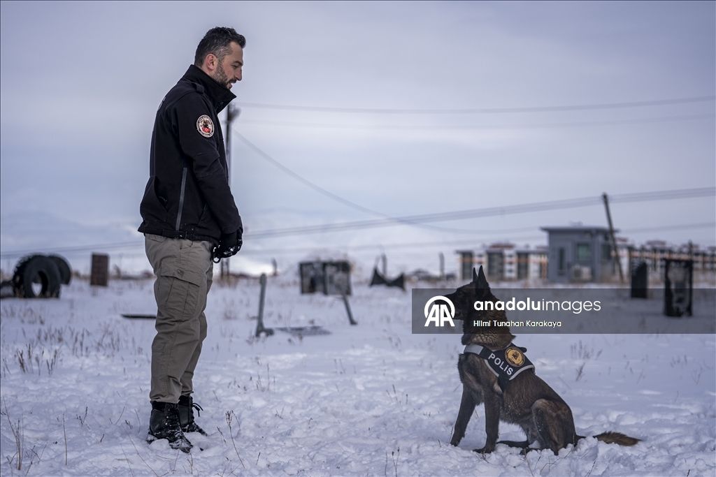 Erzurum'da eğitilen köpekler Doğu Anadolu'daki asayiş ve operasyonel görevlerde kullanılacak
