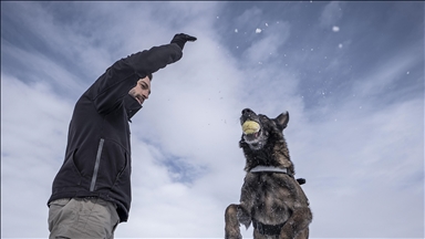 Erzurum'da eğitilen köpekler Doğu Anadolu'daki asayiş ve operasyonel görevlerde kullanılacak