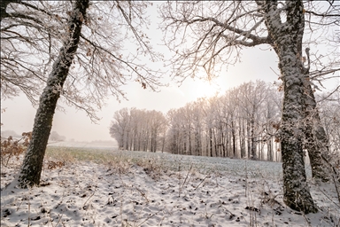 Daristanên Istrancayê bi berfê nixumîn