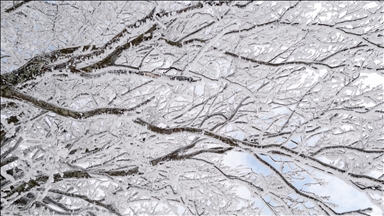 Istranca Ormanları karla kaplandı