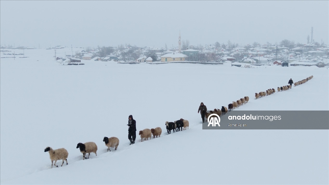 Bingöl Karlıova’da besicilerin kış mesaisi