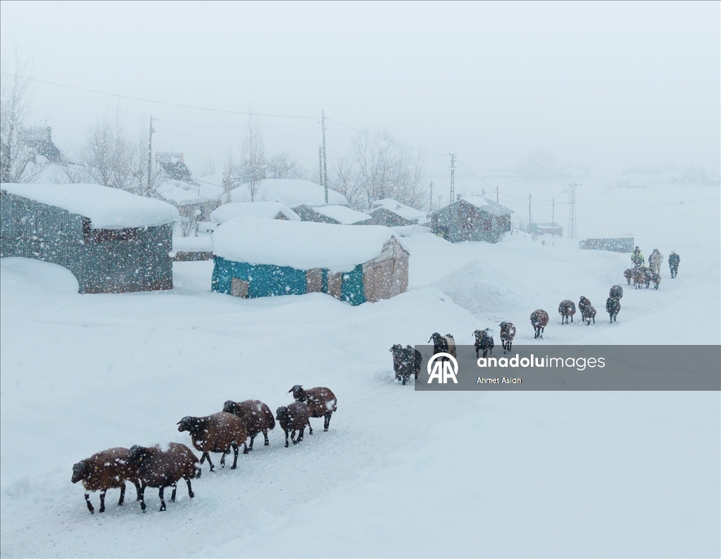 Bingöl Karlıova’da besicilerin kış mesaisi
