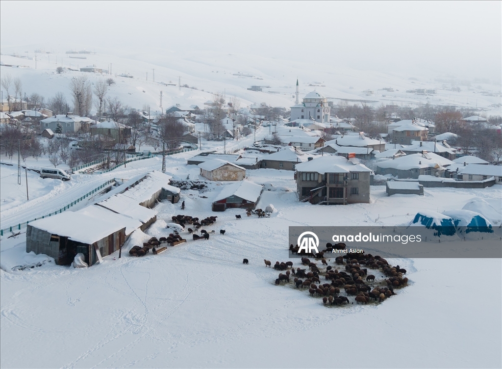 Bingöl Karlıova’da besicilerin kış mesaisi