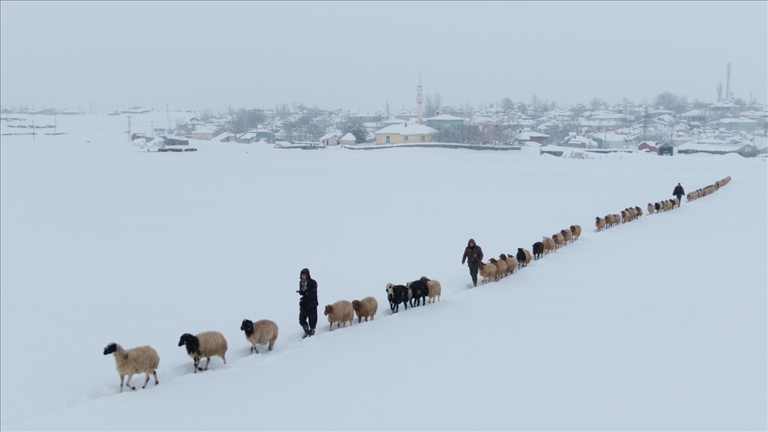 Bingöl Karlıova’da besicilerin kış mesaisi