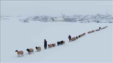 Bingöl Karlıova’da besicilerin kış mesaisi