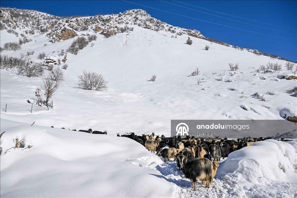 Li Wanê li taxên ku stûriya berfê ji 2 metreyan derbas bûye zivistan dijwar derbas dibe