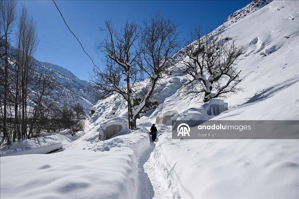 Li Wanê li taxên ku stûriya berfê ji 2 metreyan derbas bûye zivistan dijwar derbas dibe