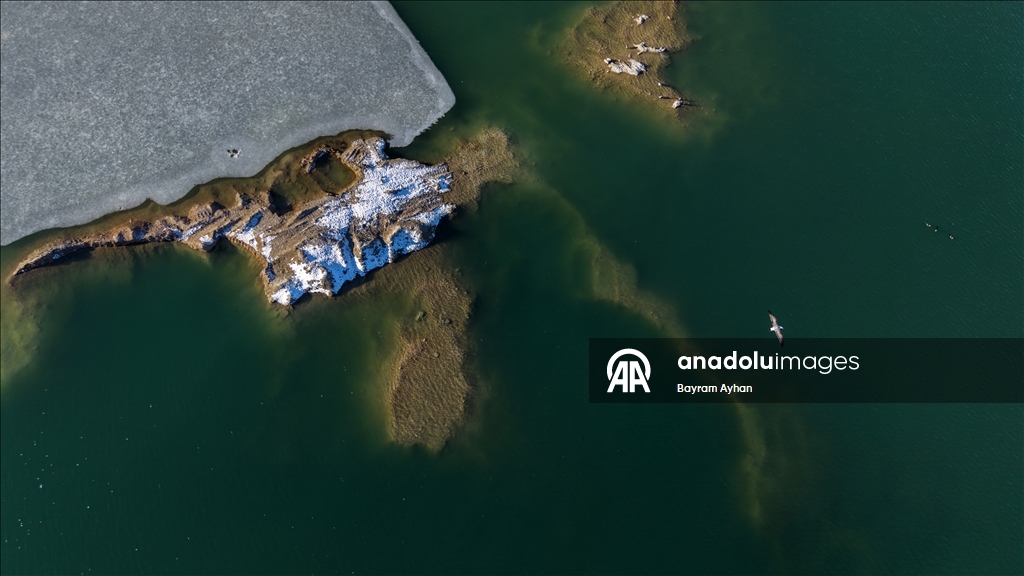 Замерзание прудов в турецком Батталгази осложнило кормление птиц