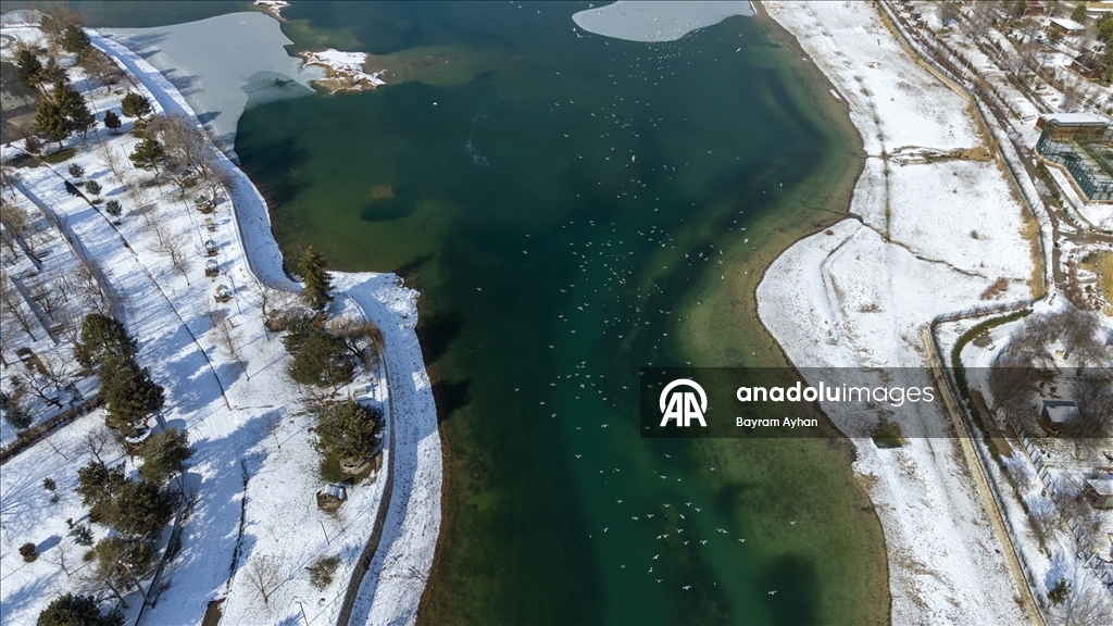 Battalgazi’de göletler buz tuttu, kuşların beslenmesi zorlaştı