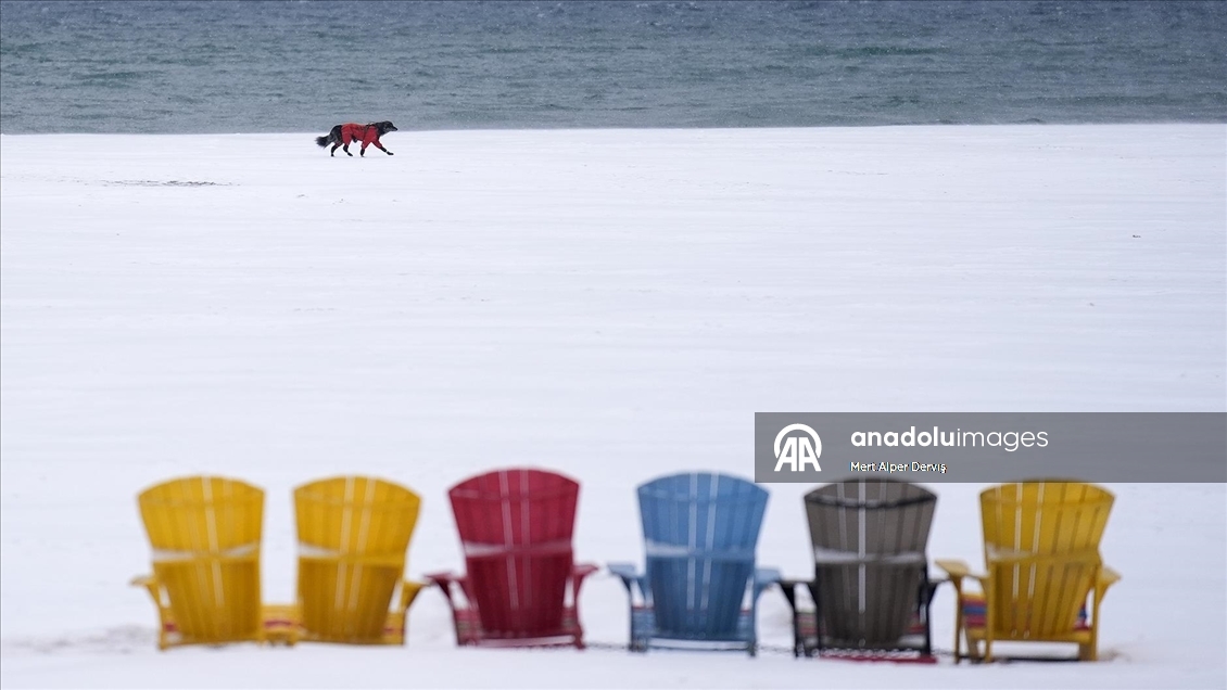 Toronto'da günlük yaşam
