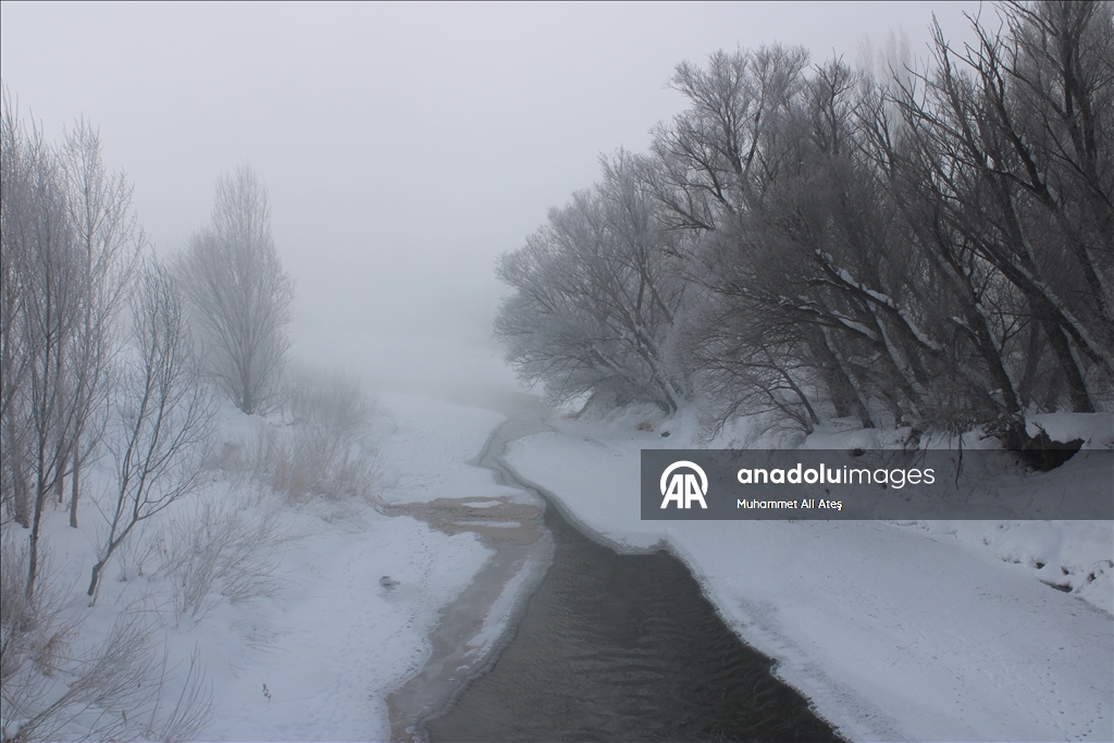 Ağrı'da soğuk hava