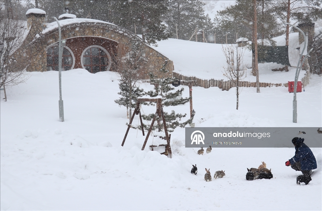 Sivas'ta kar yağışı ve soğuk hava etkili oluyor